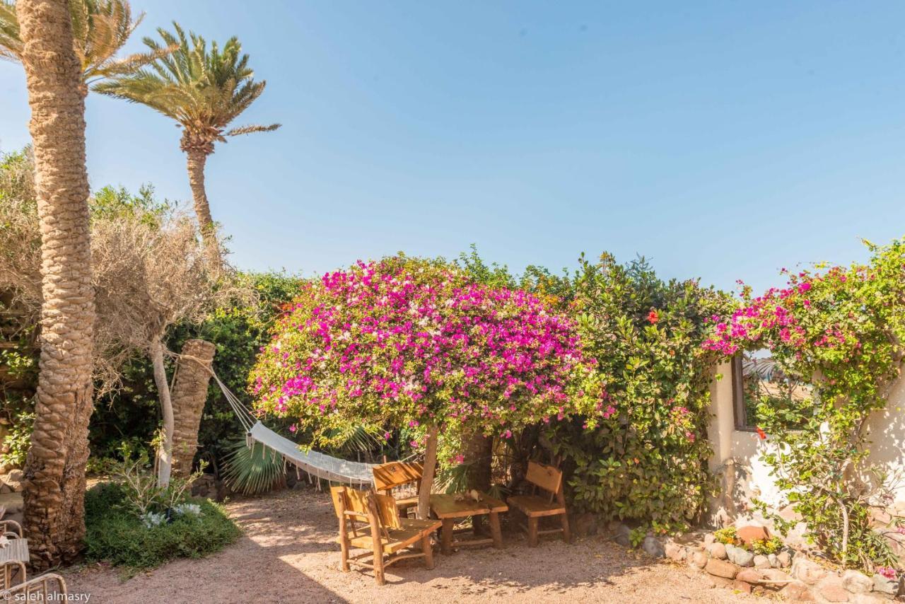 Beit Theresa Dahab Exterior foto